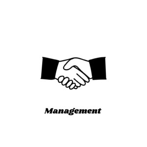 icon Webseite(4)
